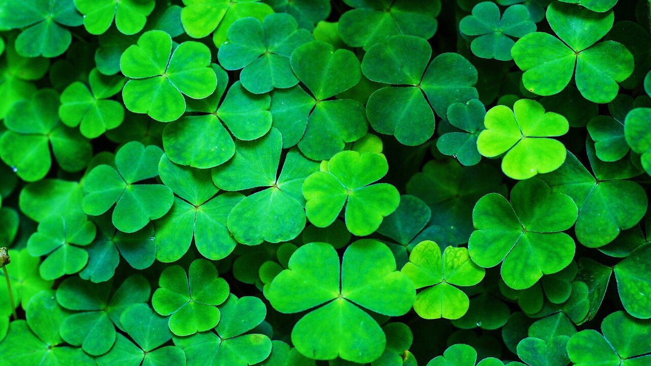 St Patrick's Day Tape