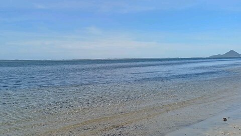 dog beach