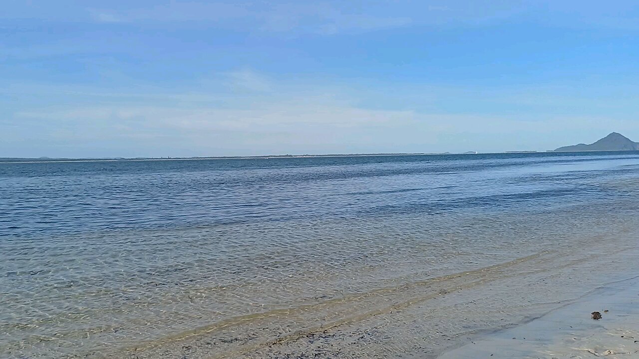 dog beach
