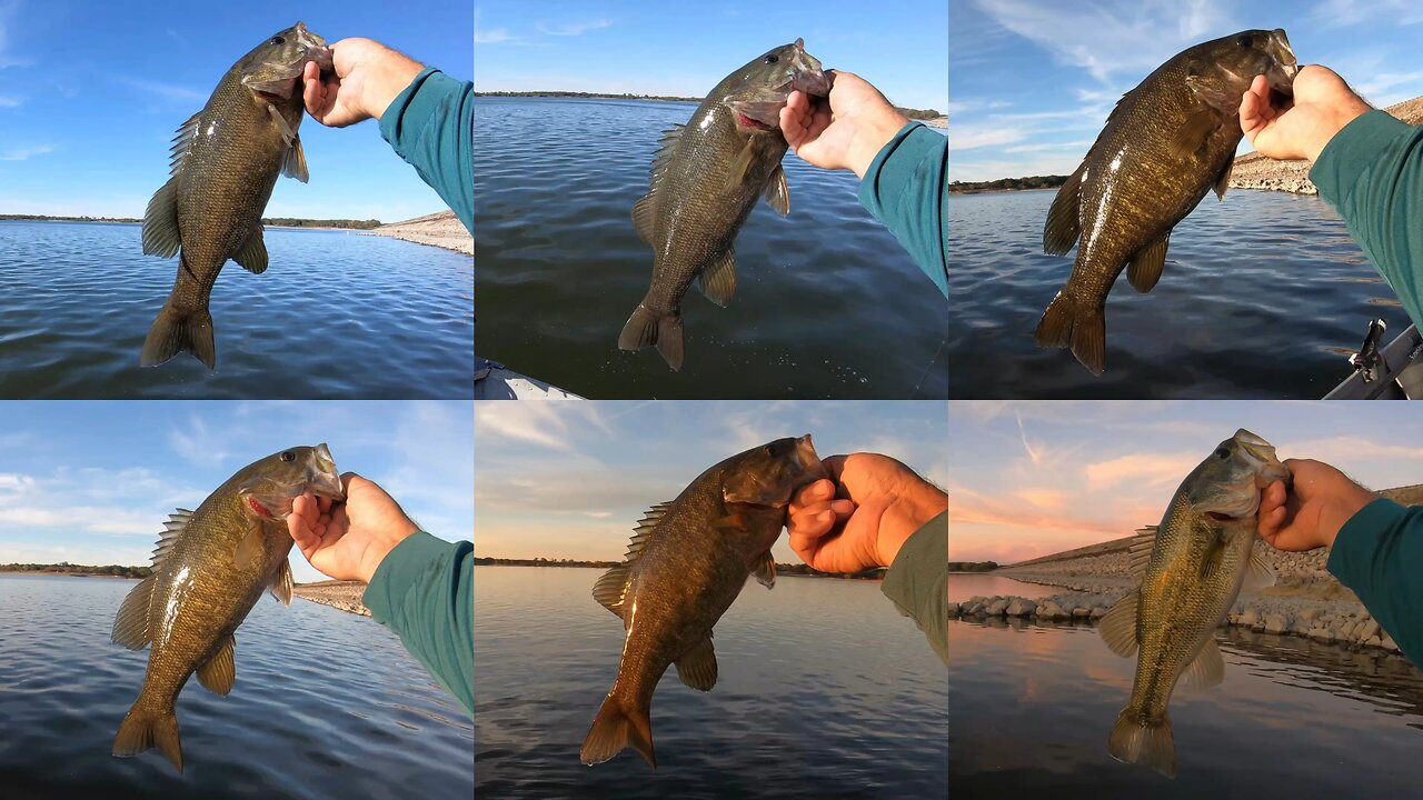Texas Smallmouth!