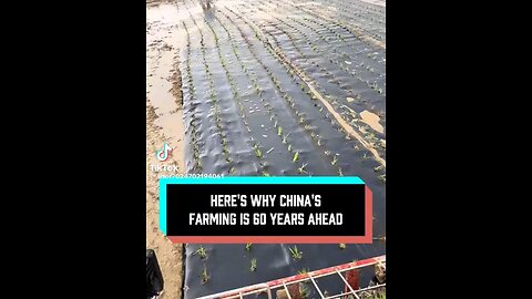 This is why China’s farming is decades ahead of the US?