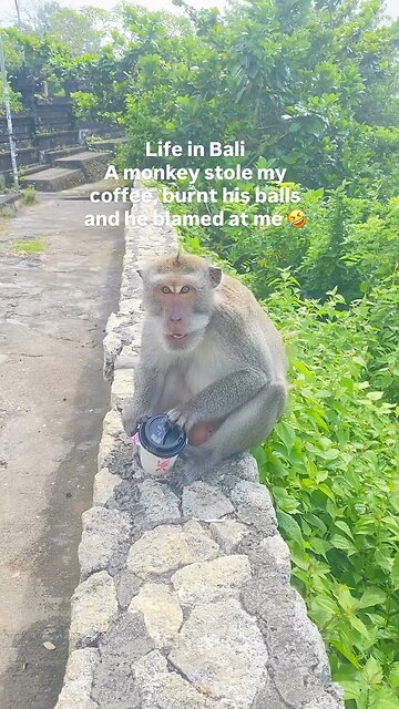 A typical day in Bali