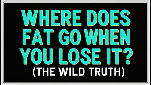 Where Does Fat Go When You Lose It? (The Wild Truth)