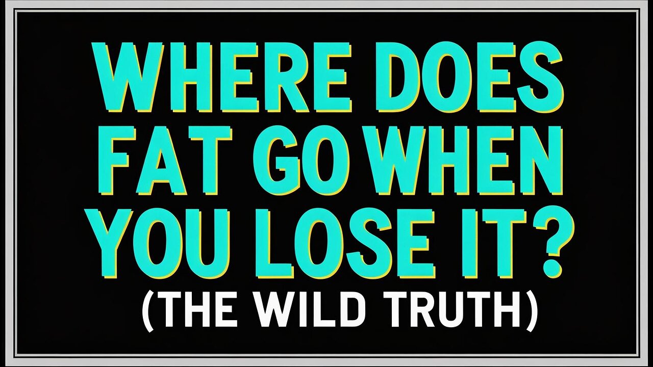Where Does Fat Go When You Lose It? (The Wild Truth)
