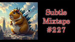 Subtle Mixtape 227 | A Heyoka Hieroglyphs Production