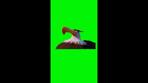 No Eagle | Green Screen