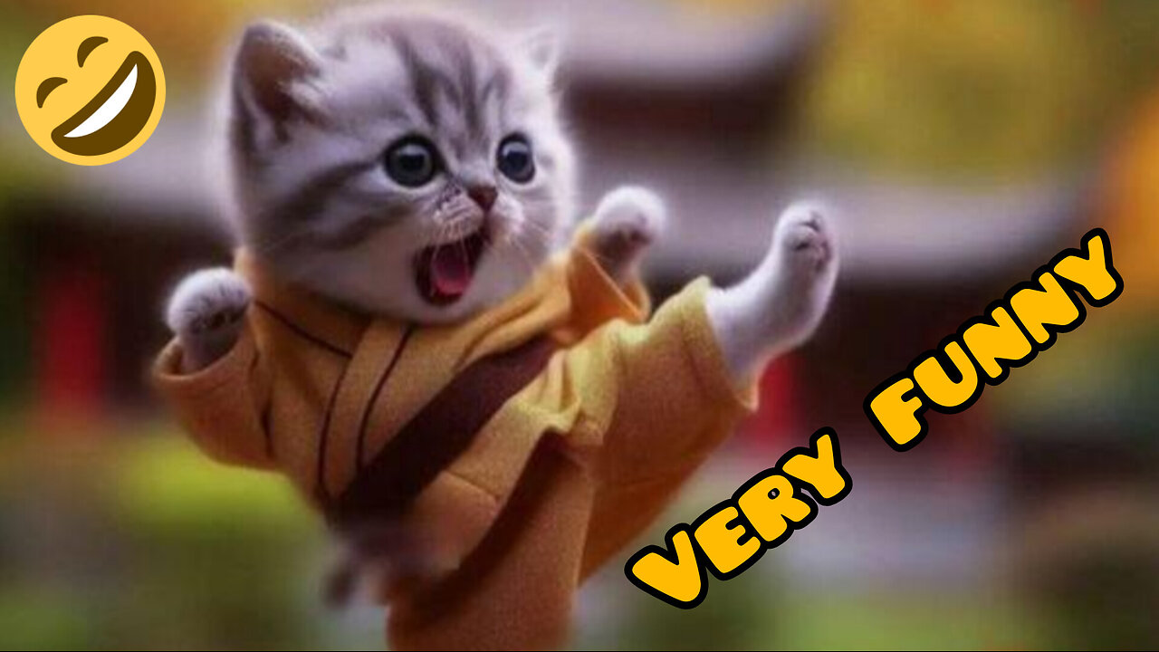 Oh,,, funny animals 🐶 🐈🐱