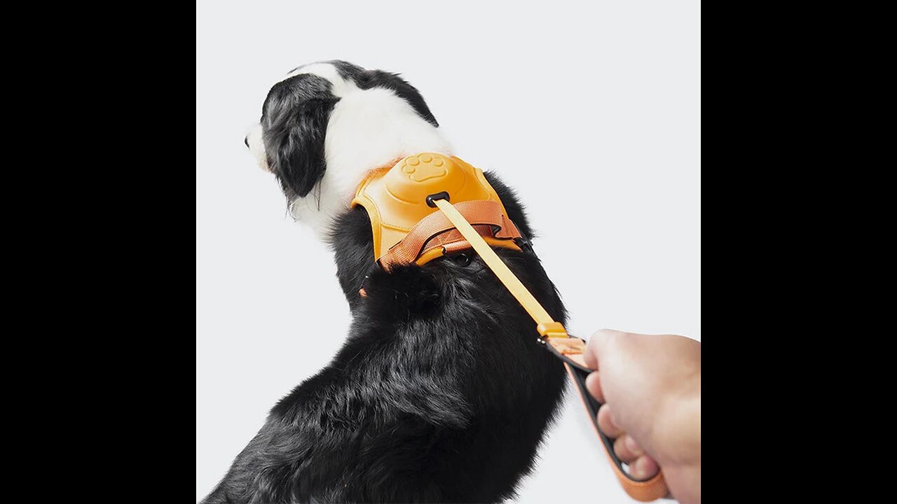 Pet Chest-Back Integrated Automatic Retractable Leash