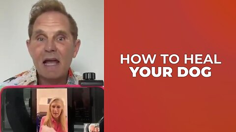 HOW TO HEAL YOUR DOG