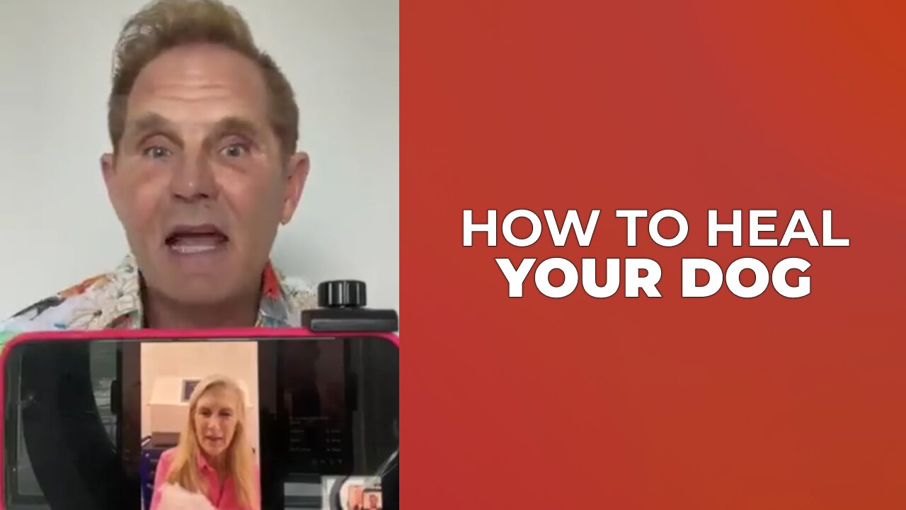 HOW TO HEAL YOUR DOG