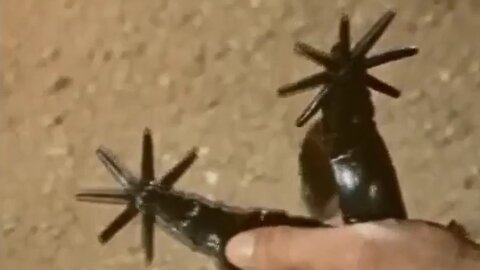 Black Spurs-Rory Calhoun, Linda Darnell, Lon Chaney Jr.-1965 IMDb 5.8/10