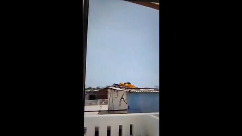First Footage Emerges of Air India Plane Crash in Ahmedabad