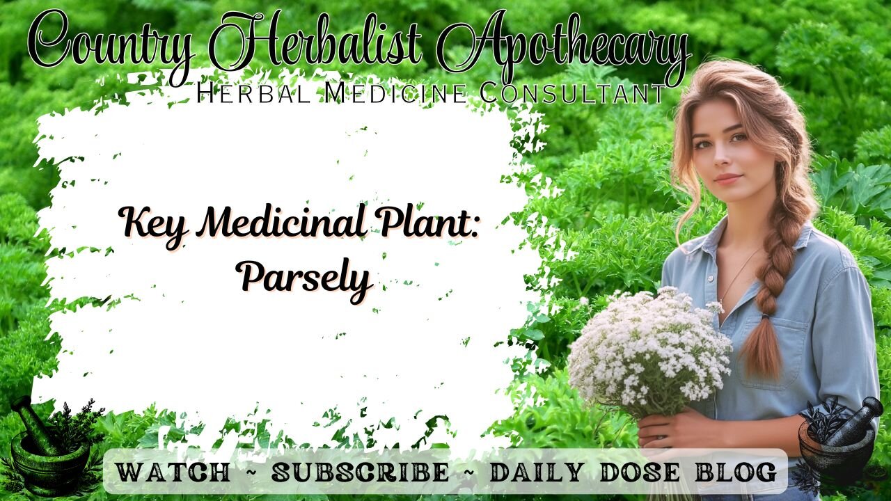 Key Medicinal Plant: Parsley