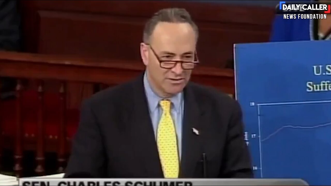 Karoline Leavitt Shows Democrats Are HYPOCRITES On Tariff Talk