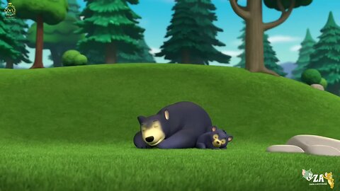 PAW Patrol Cartoons