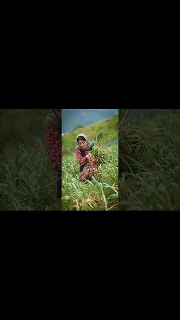Pickled Garlic and Garlic Braiding
