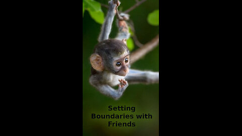 Sofia 🪢🧶 559 ~ Setting Boundaries with Friends