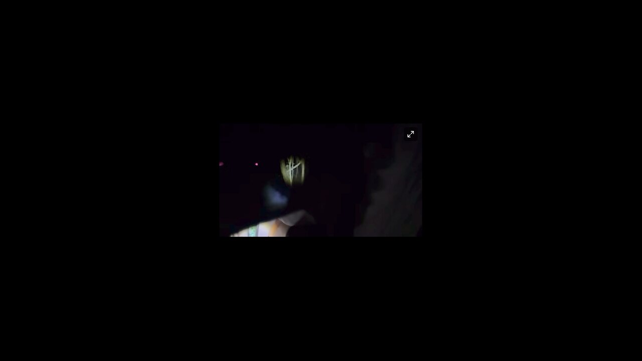BIGFOOT REVEALED BY SMOKE?