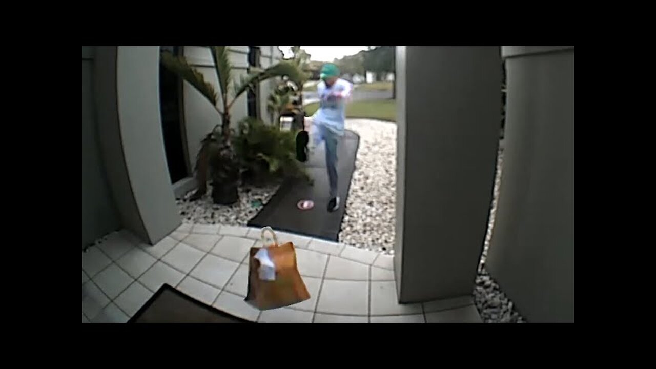 He Delivered Some Food and then Kicked It