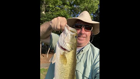Nice fish (bass)!