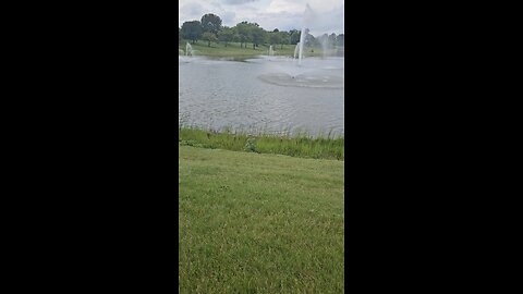 My Peaceful Place - Chicago