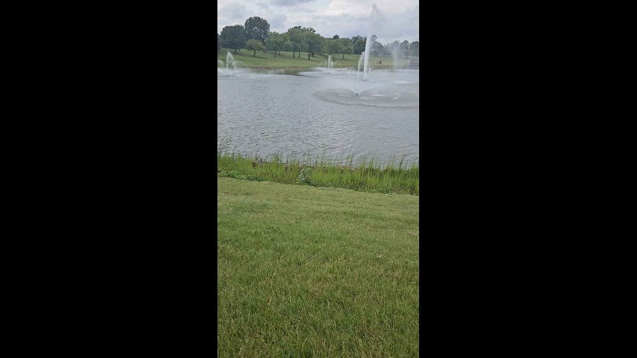 My Peaceful Place - Chicago