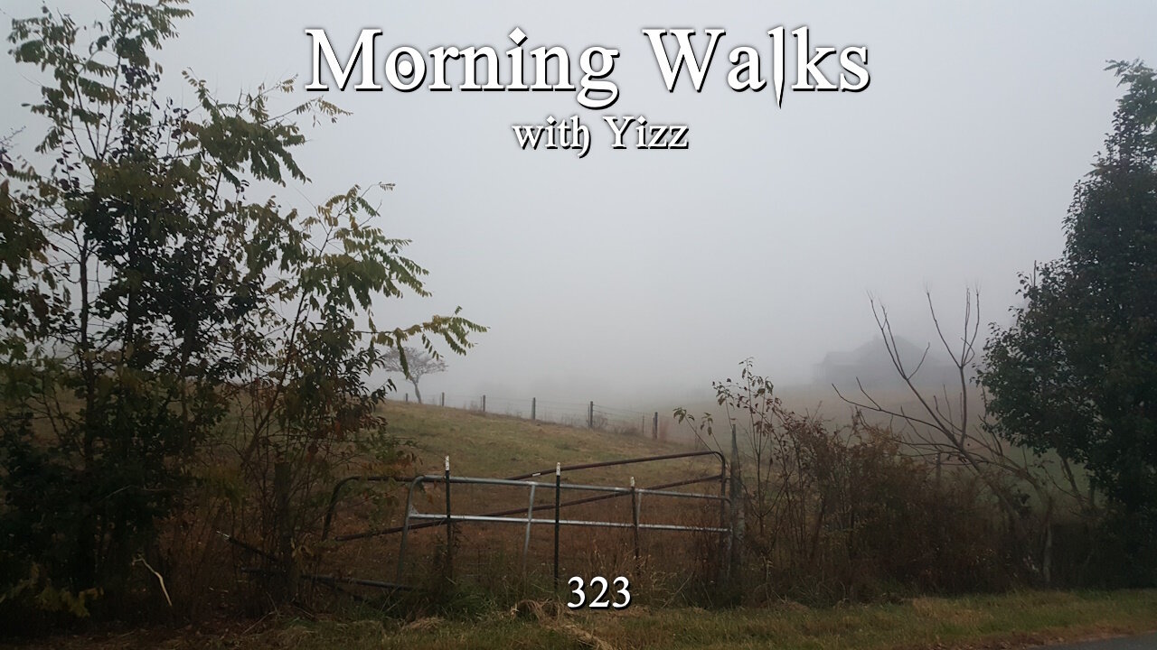 Morning Walks with Yizz 323 - Spiteful Mutants on the Right