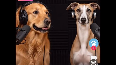 Funniest Dog Podcast
