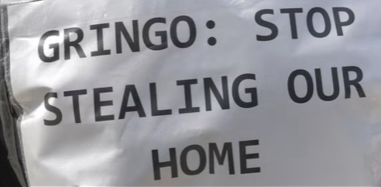 Gringo