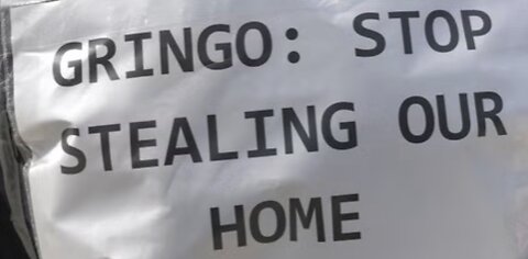 Gringo