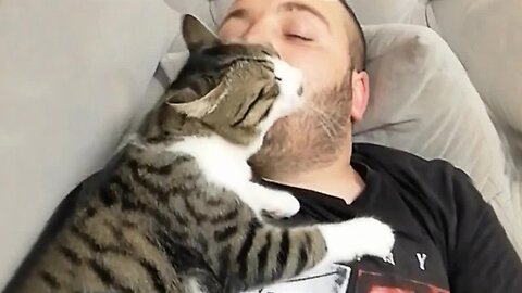 When your cats who can't deny their love for you 😻