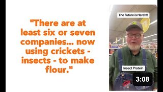 "There are at least six or seven companies... now using crickets - insects - to make flour."