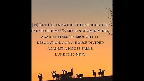 A Church Divided? Luke 11:14-23 #sermon #church