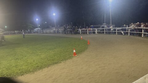 Rufio - 2025 Clintwood Memorial Horse Show Keg Shod Speed Racking Second Way