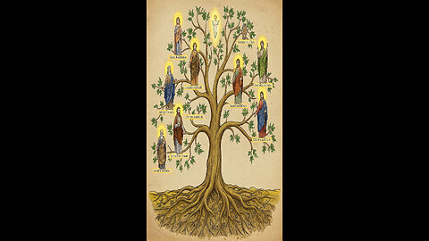 The Book Of Matthew 1-1