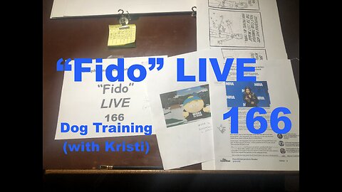"Fido" LIVE 166 "Dog training (with Kristi)