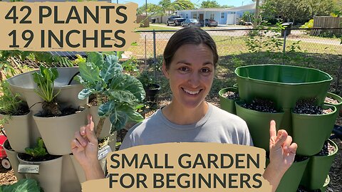 3 Ways to GROW MORE for Small Space Urban Gardening