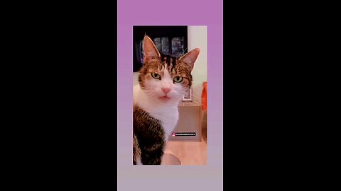 सारा दुध पी लिया