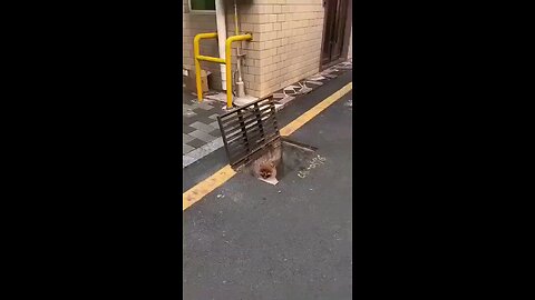 let's help one another