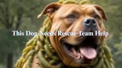 “💔🐕 Trapped and Helpless: Will This Dog Be Saved in Time?”