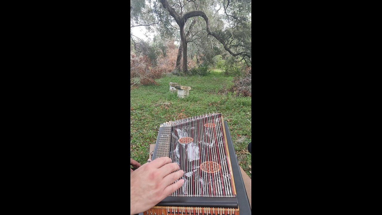 Twinkle Twinkle Little Star on the Alto Zither