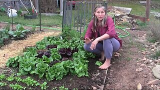 Instant Master Gardener #1: The Secret to a Green Thumb