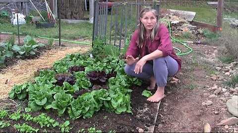 Instant Master Gardener #1: The Secret to a Green Thumb