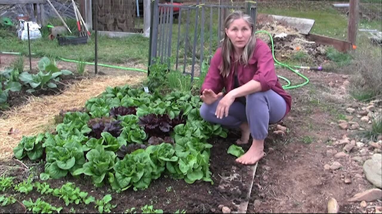 Instant Master Gardener #1: The Secret to a Green Thumb