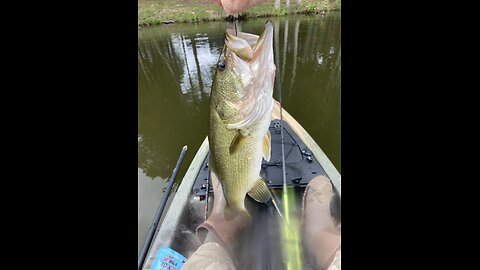 2 nice bass at SummerGrove Lake