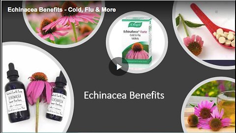 "Using Echinacea for Cold and Flu Treatment"