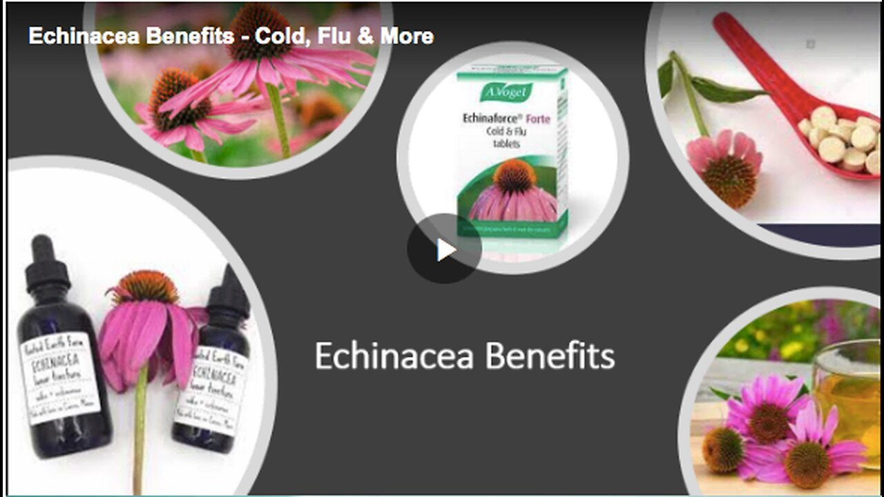 "Using Echinacea for Cold and Flu Treatment"