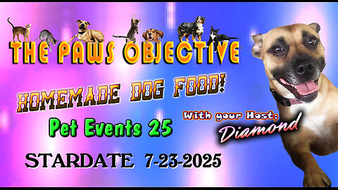 HOMEMADE DOG FOOD RECIPE