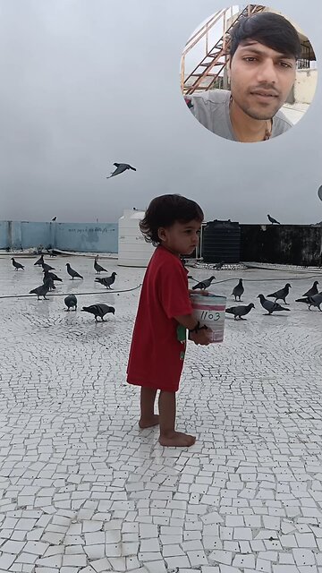 jivdaya mehsana YouTube short video