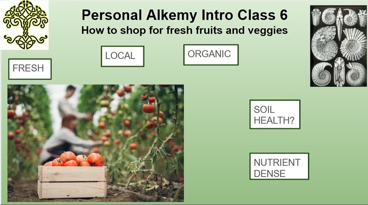 Craig Lane Personal Cooking Alkemy - The Most Important and EASY TO MAKE Probiotic Drinks